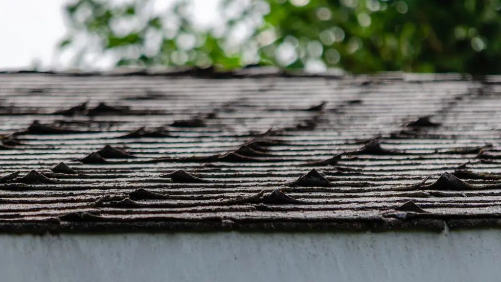 Heat damaged shingles