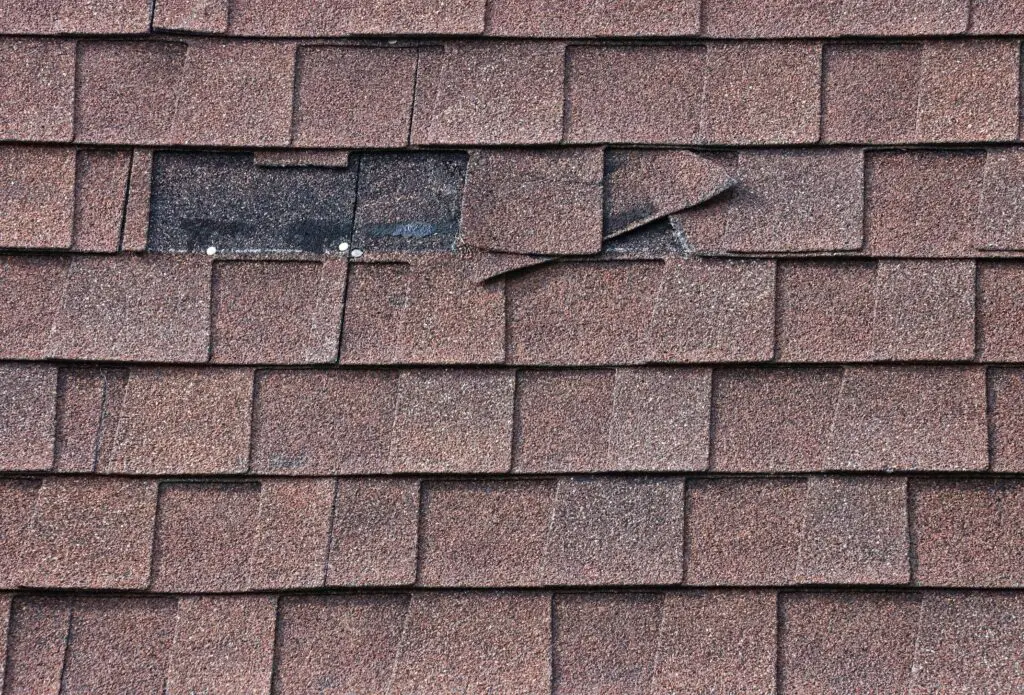 roof inspection after storm georgia