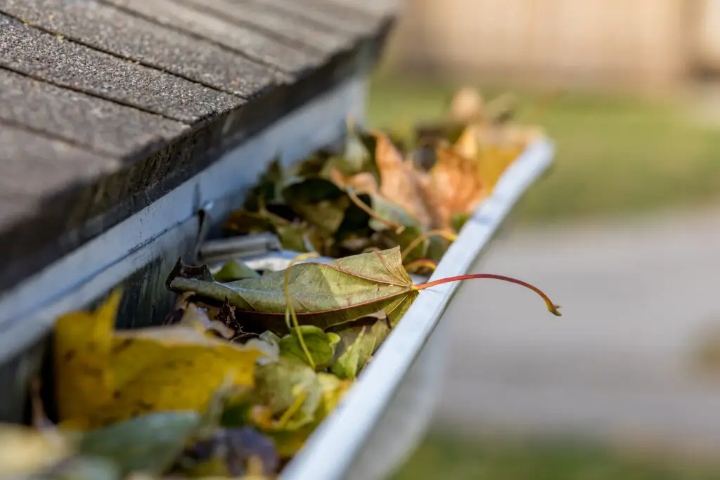 gutter cleaning roof maintenance